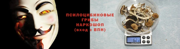 Альфа ПВП Корсаков